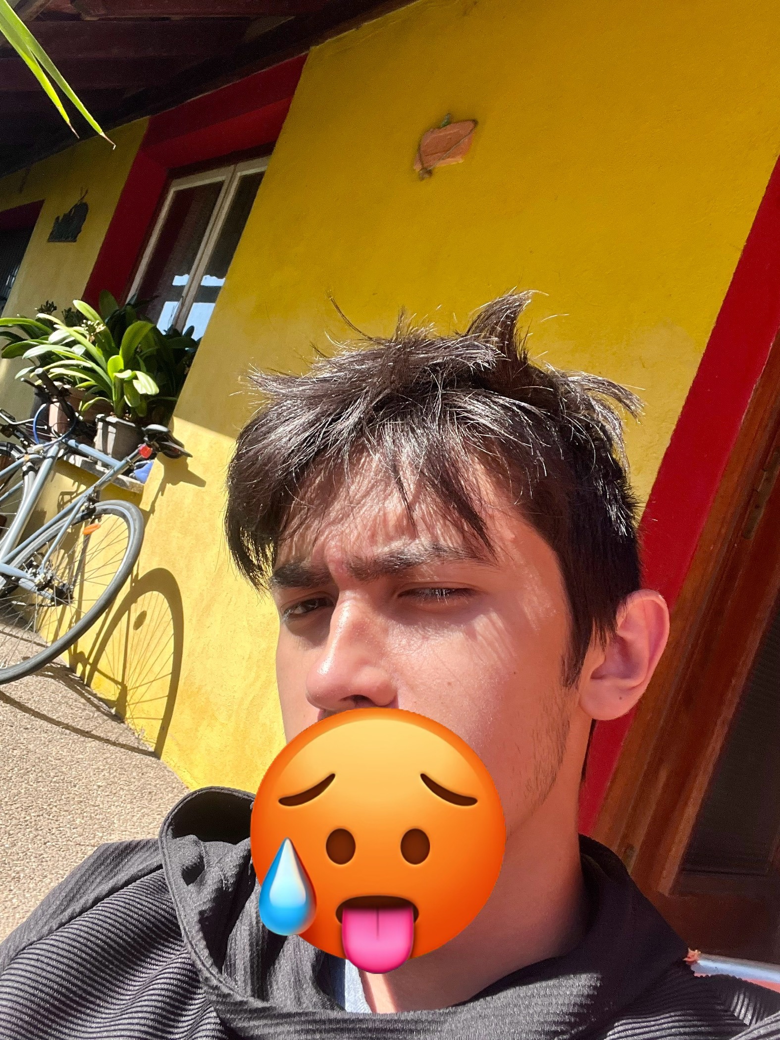 Profil de Elzear, 19 ans, Drague gay à Wangenried